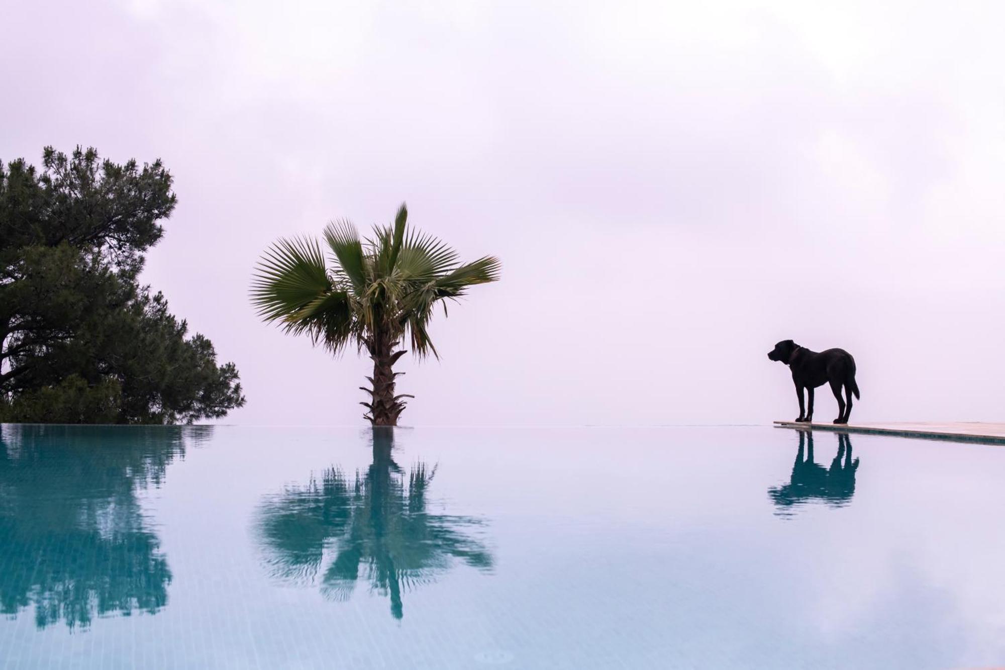 Ephesus Retreat Hotel İzmir Kültér fotó