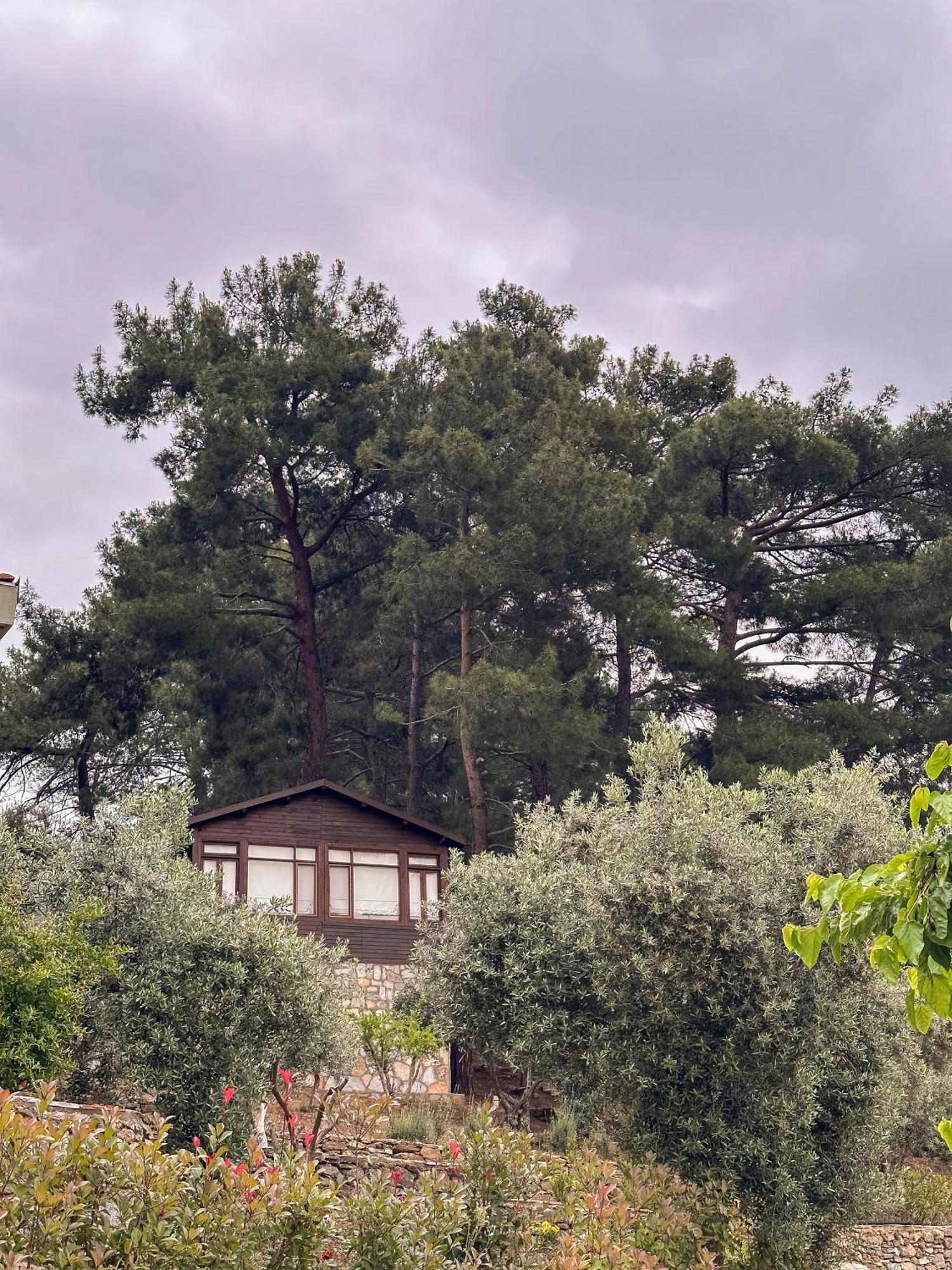 Ephesus Retreat Hotel İzmir Kültér fotó